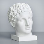 Гипсовая фигура, голова Гермеса «Мастерская Экорше», 23.5 х 28 х 36 см