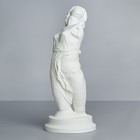 Гипсовая фигура торс танцующей менады Вакханки, 21.5 х 21.5 х 52 см - фото 711906
