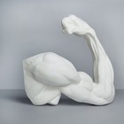 Гипсовая фигура, рука, согнутая в локте «Мастерская Экорше», 36.5 х 14 х 41.5 см Гипсовая фигура, рука, согнутая в локте «Мастерская Экорше», 36.5 х 14 х 41.5 см