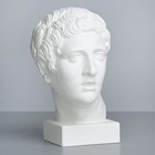 Гипсовая фигура, голова Дискобола «Мастерская Экорше», 21 х 23 х 34 см