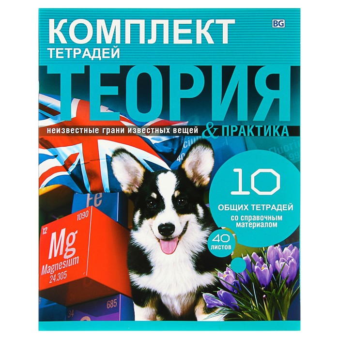 Комплект предметных тетрадей 40 листов &quot;Теория и практика&quot;, обложка мелованный картон, 10 штук