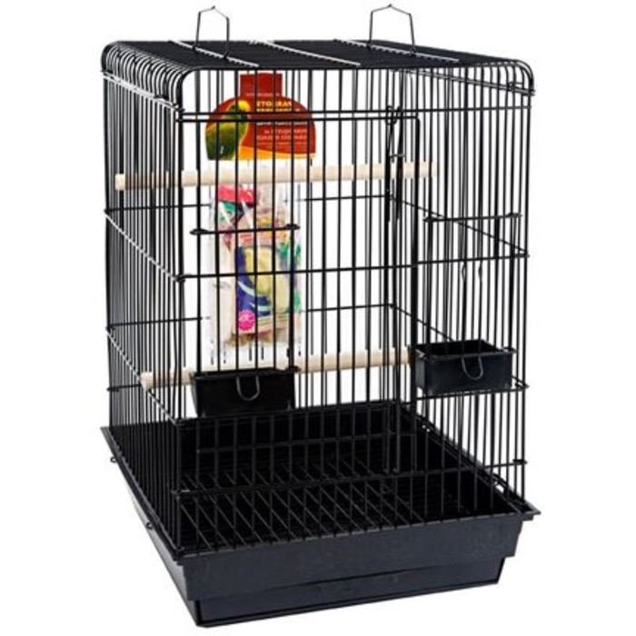 Клетка PENN-PLAX PARROT STARTER для птиц, 47 х 47 х 70 см, с комплектацией, чёрная