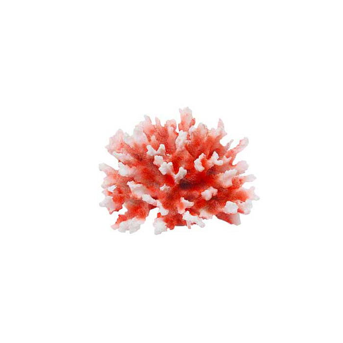Coral 12. Fauna International декорация для аквариумов коралл зеленый 15х13,5х7,5см. Пластмассовые красные кораллы. Искусственные кораллы для аквариума. Белый искусственный коралл в аквариум.