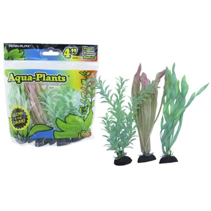 Plant aqua. Растения для аквариума Penn Plax. Растения для аквариума, 6 шт.. Плант Аква. Аква с травами.