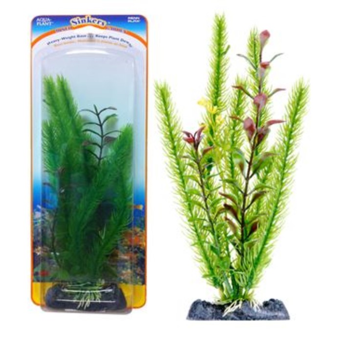 Растение-композиция PENN-PLAX CLUB MOSS-BLOOMING LUDWIGIA, 20см