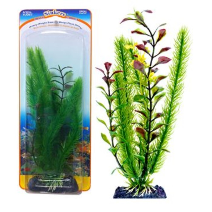 Растение-композиция PENN-PLAX CLUB MOSS-BLOOMING LUDWIGIA, 25см