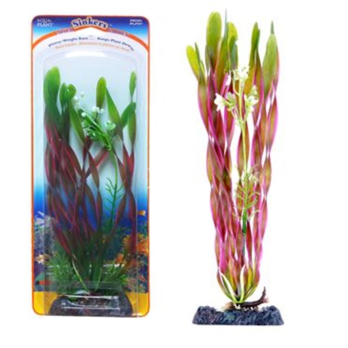 Растение-композиция PENN-PLAX CORKSCREW VALLISNERIA-CLUB MOSS, 20см