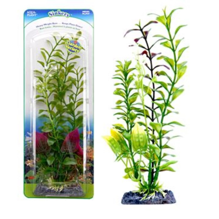 Растение-композиция PENN-PLAX BLOOMING LUDWIGIA-MALAY CRIP, 20см