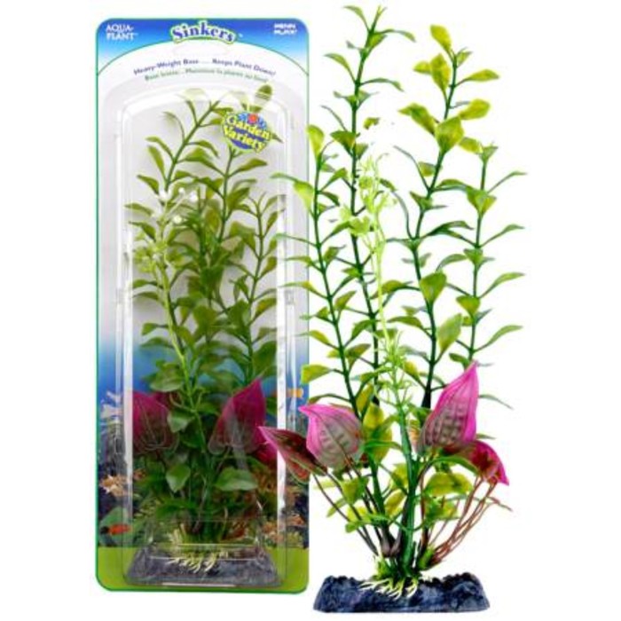 Растение-композиция PENN-PLAX BLOOMING LUDWIGIA-MALAY CRIP, 25см