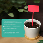 Ярлыки садовые для маркировки, 34 см, набор 10 шт., пластик, цвет МИКС 3341028