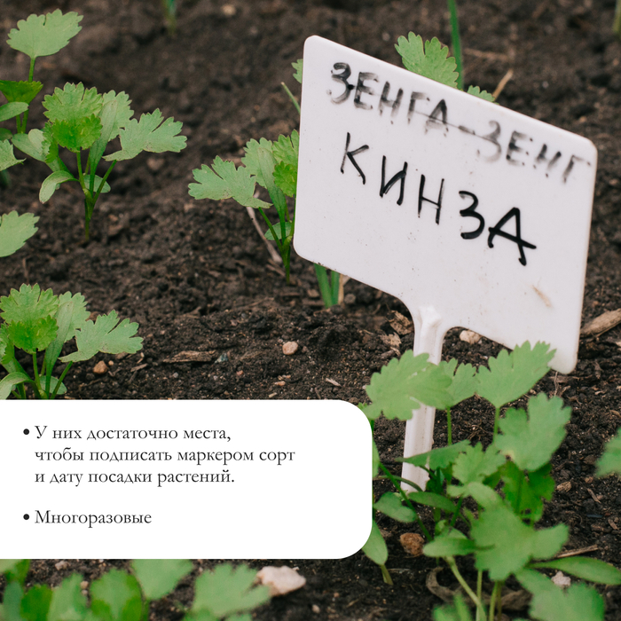Ярлыки садовые для маркировки, 34 см, набор 10 шт., пластик, цвет МИКС