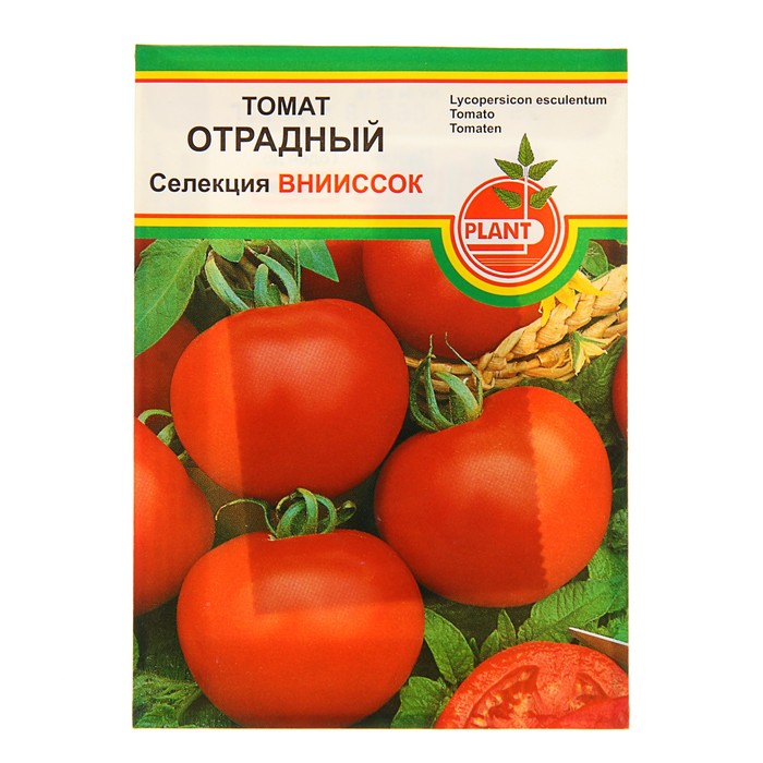 Томат москва. Семена томата Отрадный 0,1г. Томат Отрадный 20шт/0,1гр/10. Отрадный сорт помидор. Отрадное томат.