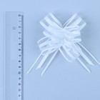 Бант-бабочка No2.5, белый 2909408