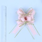 Бант-бабочка №5 2909411