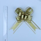 Бант-бабочка No5, золотистый 2909414