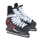 Коньки хоккейные 206Р black, разм. 38 в пакете Коньки хоккейные 206Р black, разм. 38 в пакете