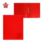 Folder on the 2 rings A4 plastic, 18 mm, 500 µm, Calligrata, sand, red