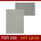 Folder with 10 clear inserts A4 500 micron, Calligrata, sand, grey