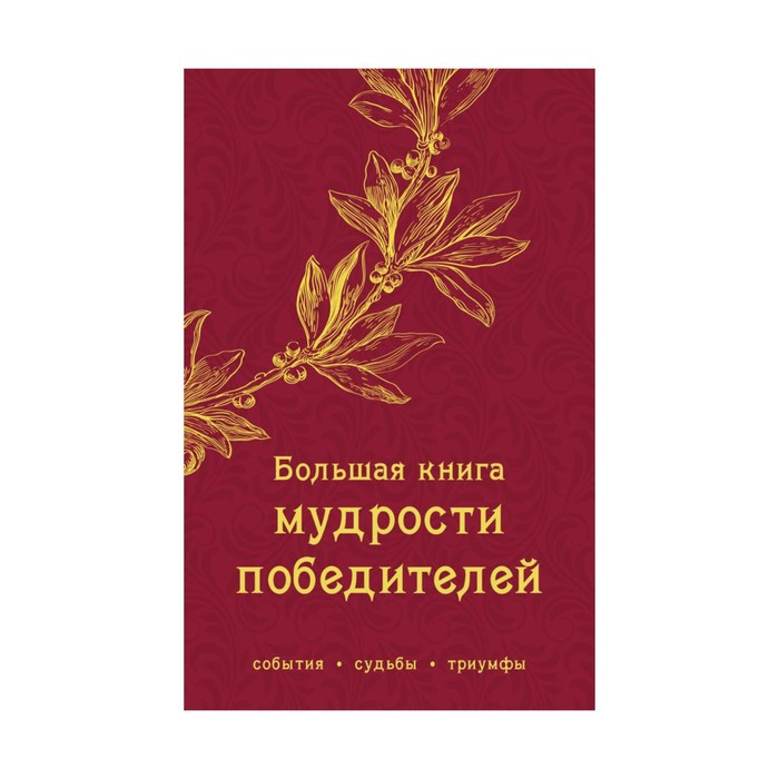 книгимудр. Большая книга мудрости победителей