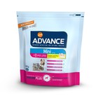 Сухой корм Advance для пожилых собак малых пород, курица и рис, 800 г Сухой корм Advance для пожилых собак малых пород, курица и рис, 800 г