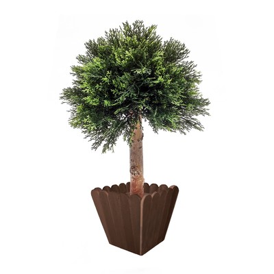 описание_картинки