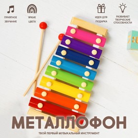 Игрушка музыкальная Металлофон, 8 тонов в Донецке