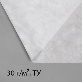 Материал укрывной, 10 × 3,2 м, плотность 30, с УФ-стабилизатором, белый, Greengo, Эконом 20%