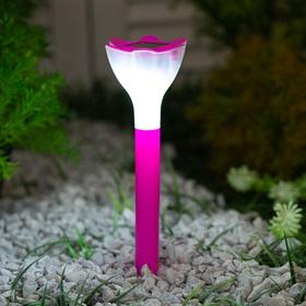 Садовый светильник на солнечной батарее Uniel PINK CROCUS, белый свет, 1*LR Ni-Mh