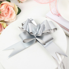 Бант-бабочка №3 голография, серебряный 2947894