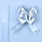 Бант-бабочка №3 голография, серебряный 2947894