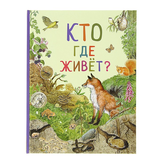 Удивительный мир животных «Кто где живёт?»