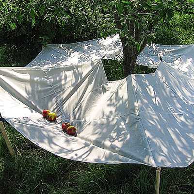 Фруктосборник