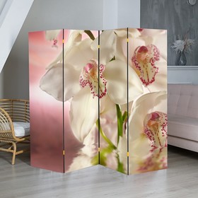 Ширма "Орхидея. Айвори", 200 × 160 см