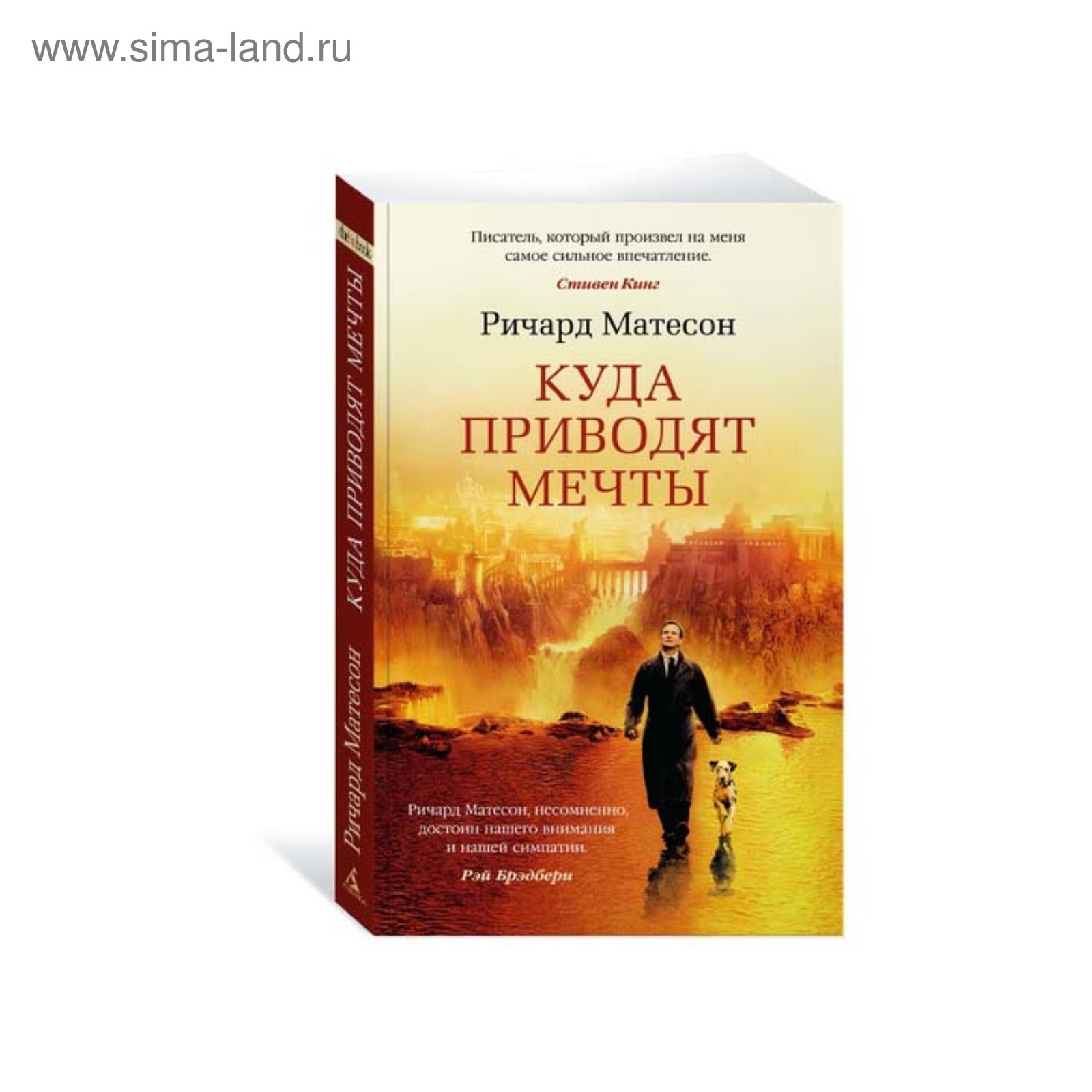 Куда приводят мечты