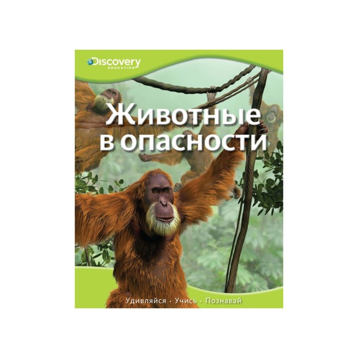 Discovery Education. Животные в опасности.