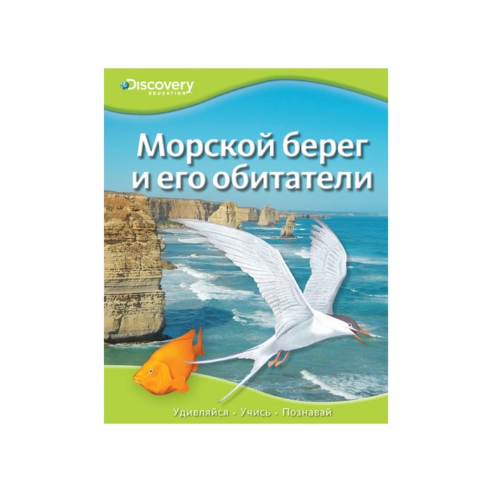 Discovery Education. Морской берег и его обитатели.