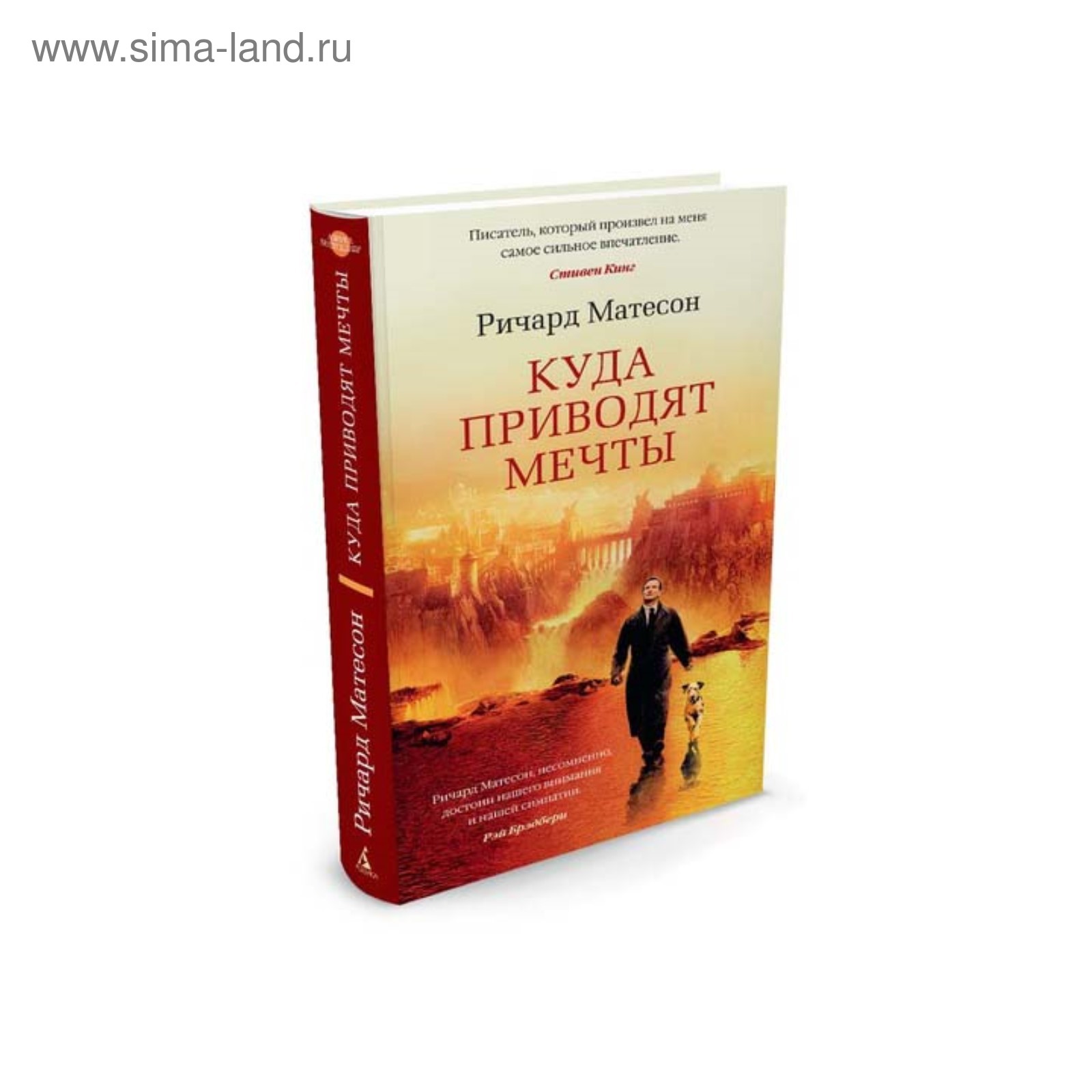 Куда приводят мечты