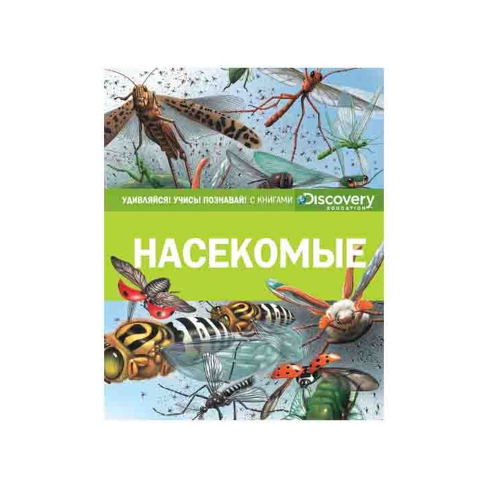 Удивляйся! Учись! Познавай! Насекомые (нов.оф.)