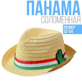 Панама детская соломенная «Кактус», р-р. 52 см в Донецке
