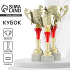Кубок спортивный 153С Кубок спортивный 153С