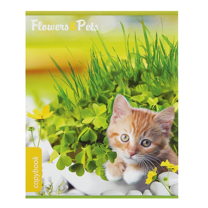 Тетрадь 12 листов клетка Flowers &amp; Pets, обложка мелованный картон, уф-лак, микс