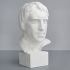 Гипсовая фигура. Известные люди: Бюст Высоцкого, 13.5x15x26.5 см