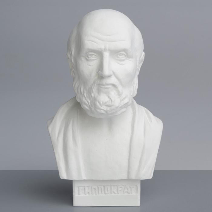 Гипсовая фигура. Известные люди: Бюст Гиппократа, 12x10x20 см
