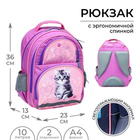 Рюкзак школьный Calligrata "Котёнок", 36 х 23 х 13 см, эргономичная спинка