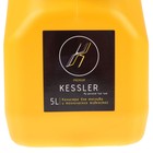 Канистра ГСМ Kessler premium, 5 л, пластиковая, желтая 3501247 Канистра ГСМ Kessler premium, 5 л, пластиковая, желтая 3501247