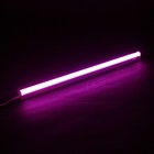 Фитосветильник светодиодный Uniel, 18 Вт, 560 мм, IP40, 230 В, спектр для рассады, с выкл. 3402282