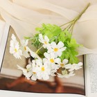 Букет "Незабудки" 30 см, d цветка 4,5 см,  белый - фото 4039330