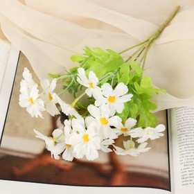 A bouquet of forget-me-nots 30 cm, white