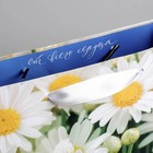 Пакет ламинированный вертикальный «Ромашки полевые», ML 23 × 27 × 11,5 см 2779101