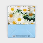 Пакет ламинированный вертикальный «Ромашки полевые», ML 23 × 27 × 11,5 см 2779101